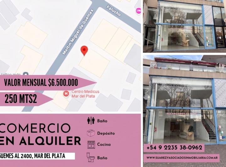 Local comercial · 250m² · 1 Ambiente