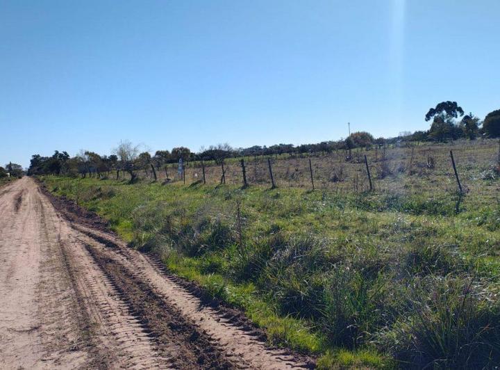 Terreno · 804m²