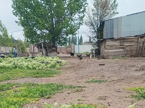 Terreno en venta lote 04 manzana 240