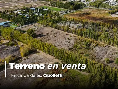 Venta exclusiva | finca cardales | cipolleti