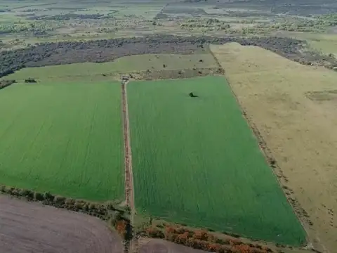 Campo en gualeguaychu