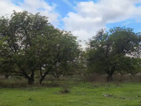 Lote 440 m2 en venta villa san carlos valle de uco