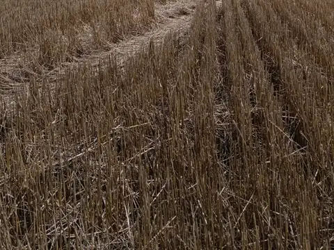 Campo agricola en venta - cabal
