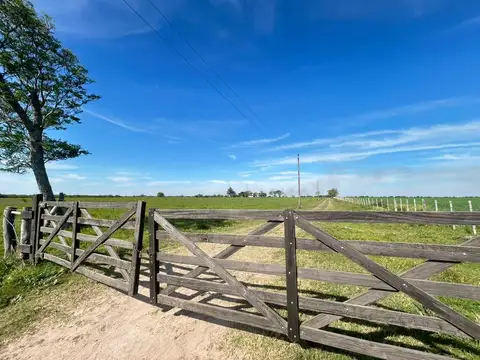 Campo en venta partido san justo