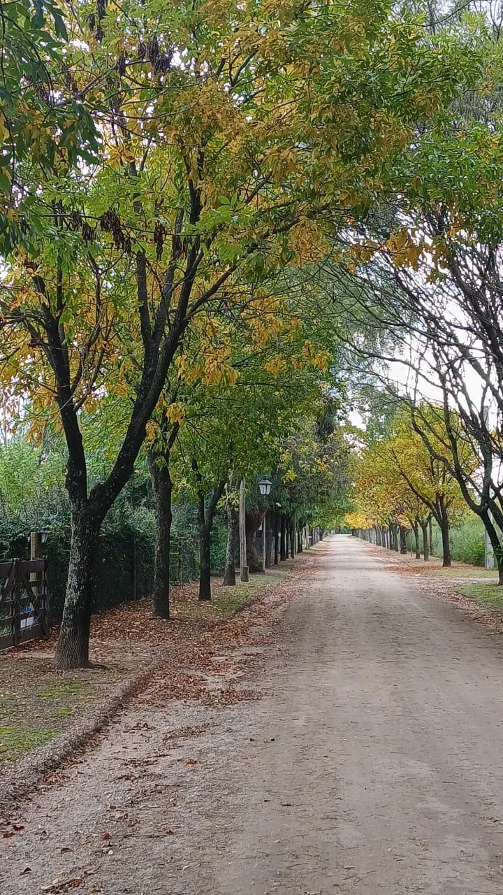 NATURALEZA - CAMPOS DEL VIRREY