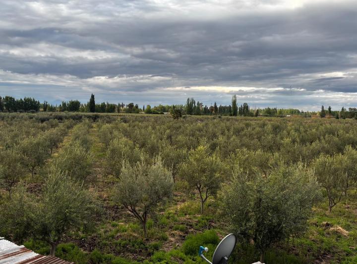 Terreno · 42m² · 2 Ambientes