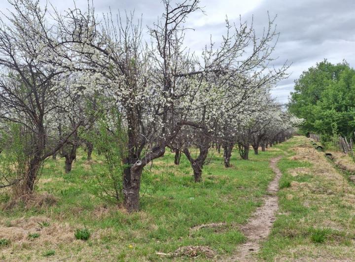 Terreno · 90m² · 2 Cocheras