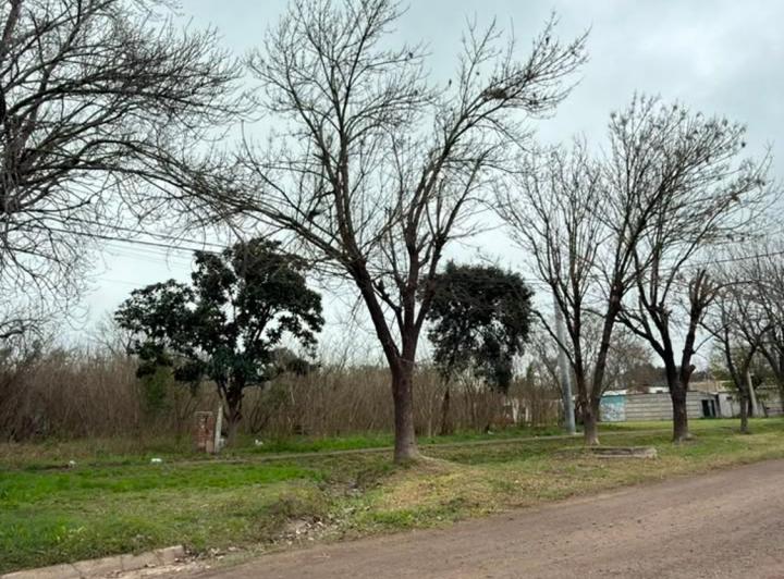 Terreno · 6764m²