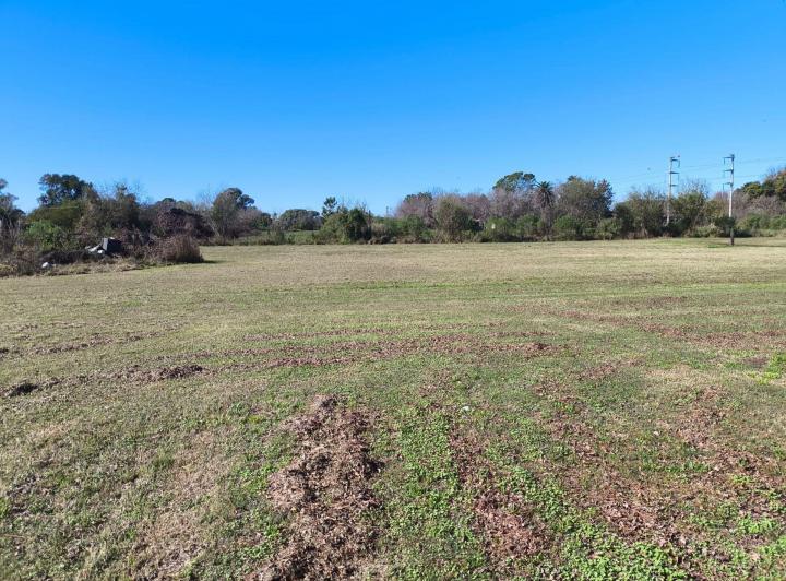 Terreno · 49161m²