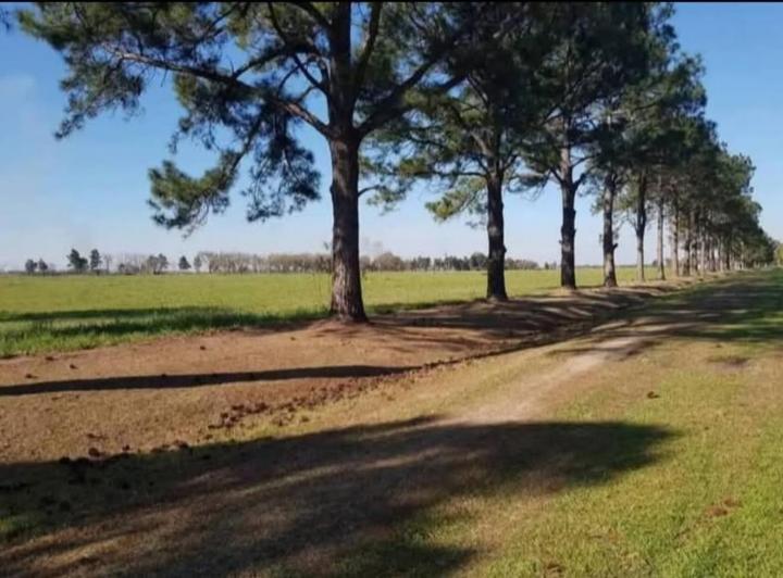 Terreno · 600m²