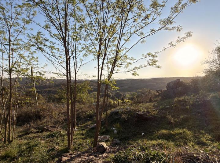 Terreno · 306m²