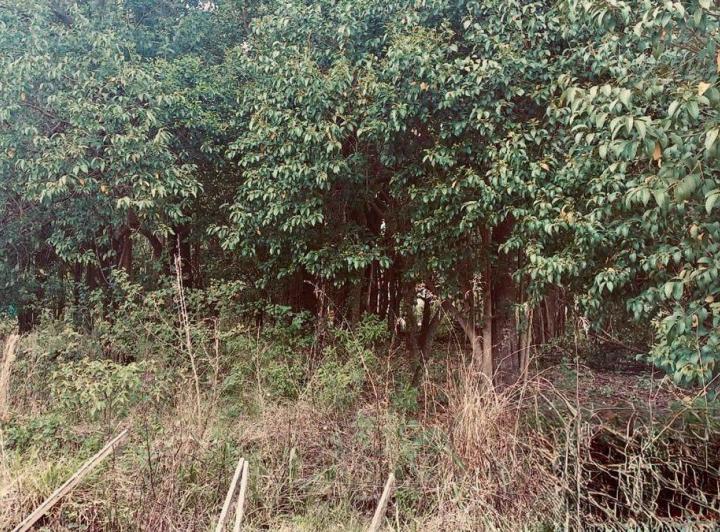Terreno · 400m²