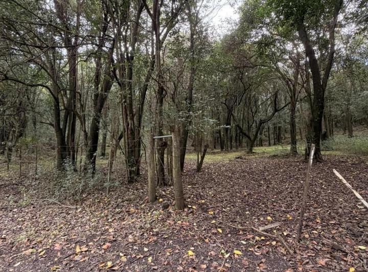 Terreno · 5095m²