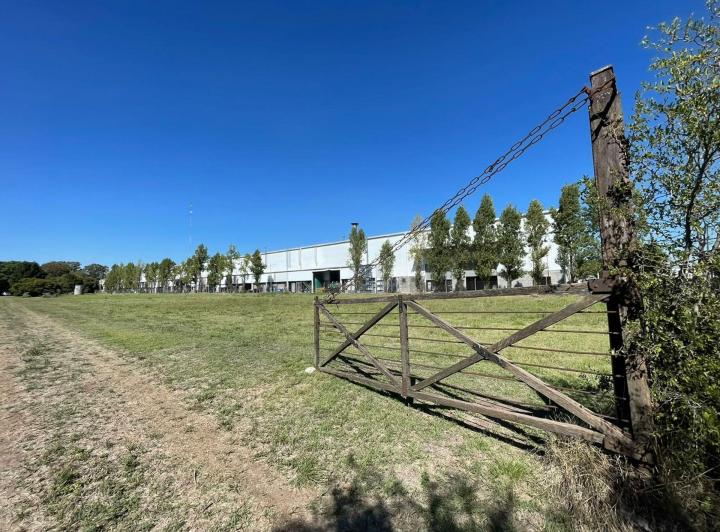 Terreno · 12000m²