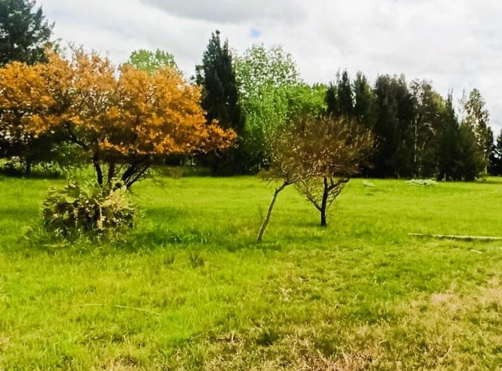 Terreno · 7100m²