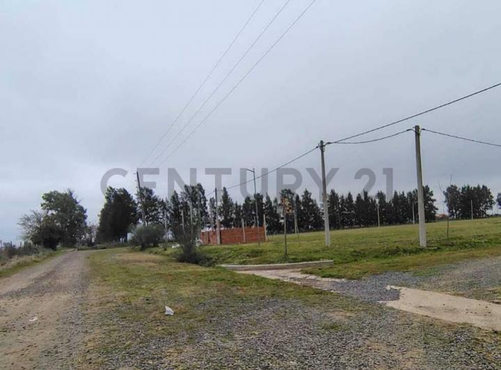 Terreno · 338m²
