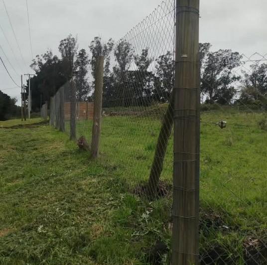 Terreno · 1270m²