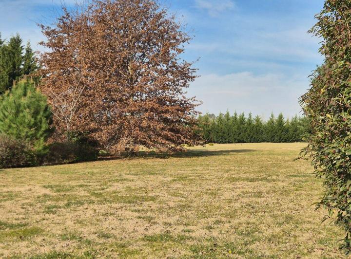Terreno · 5000m²
