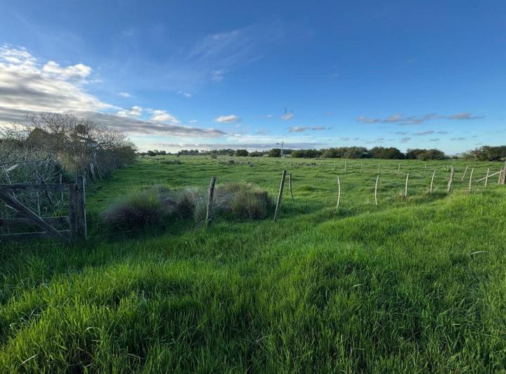 Terreno · 1000m²