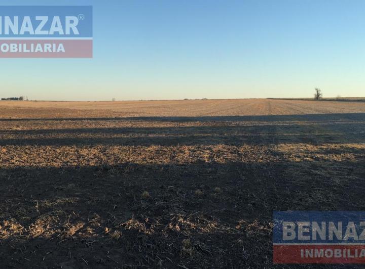 Campo · 10ha