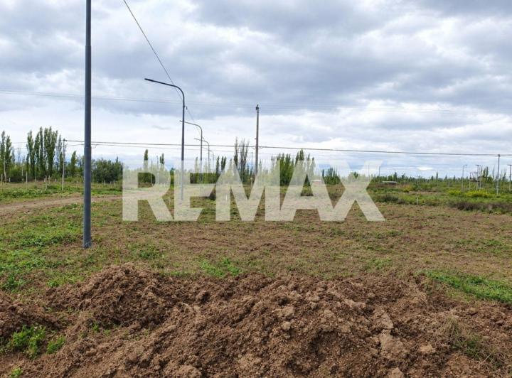 Terreno · 292m²