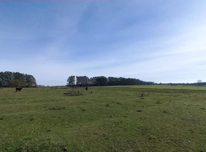 Campo · 70ha