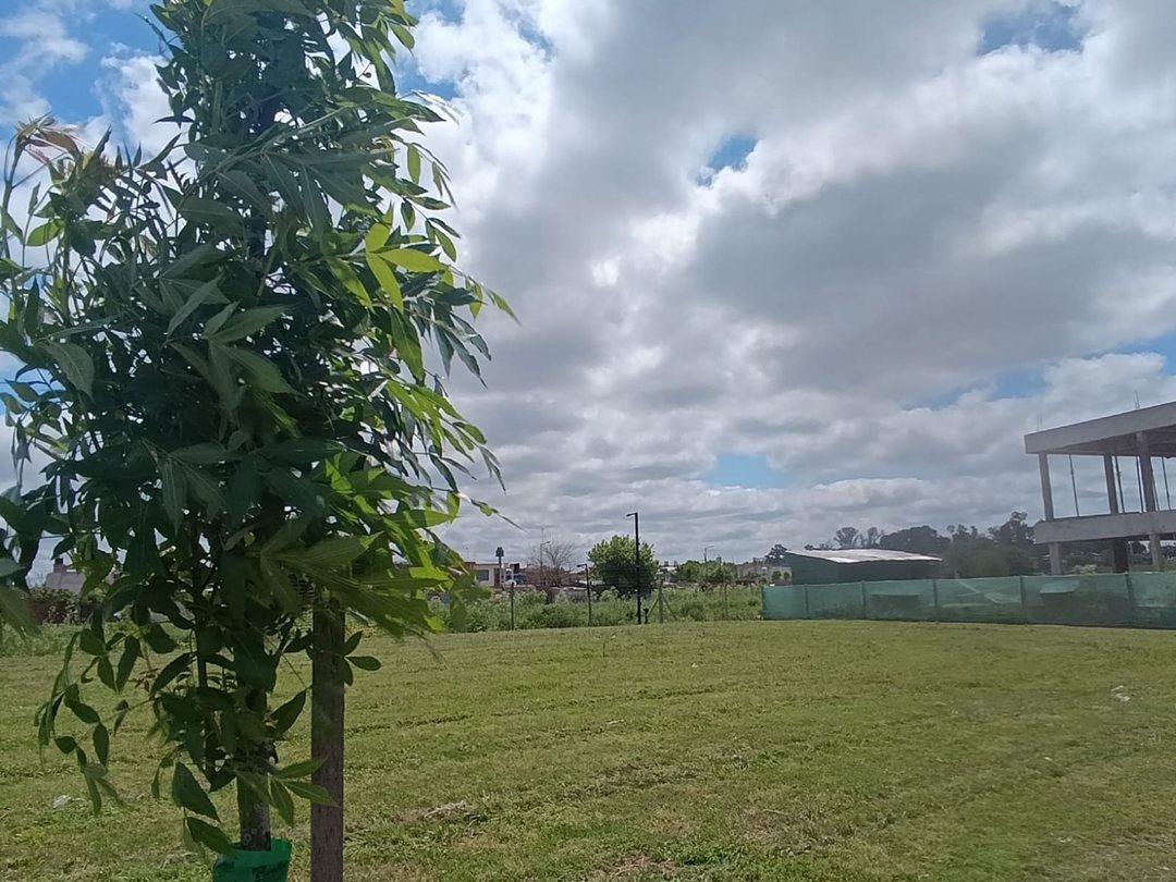 VENTA LOTE 618 M2 VILLAGE JOVEN BELLA VISTA
