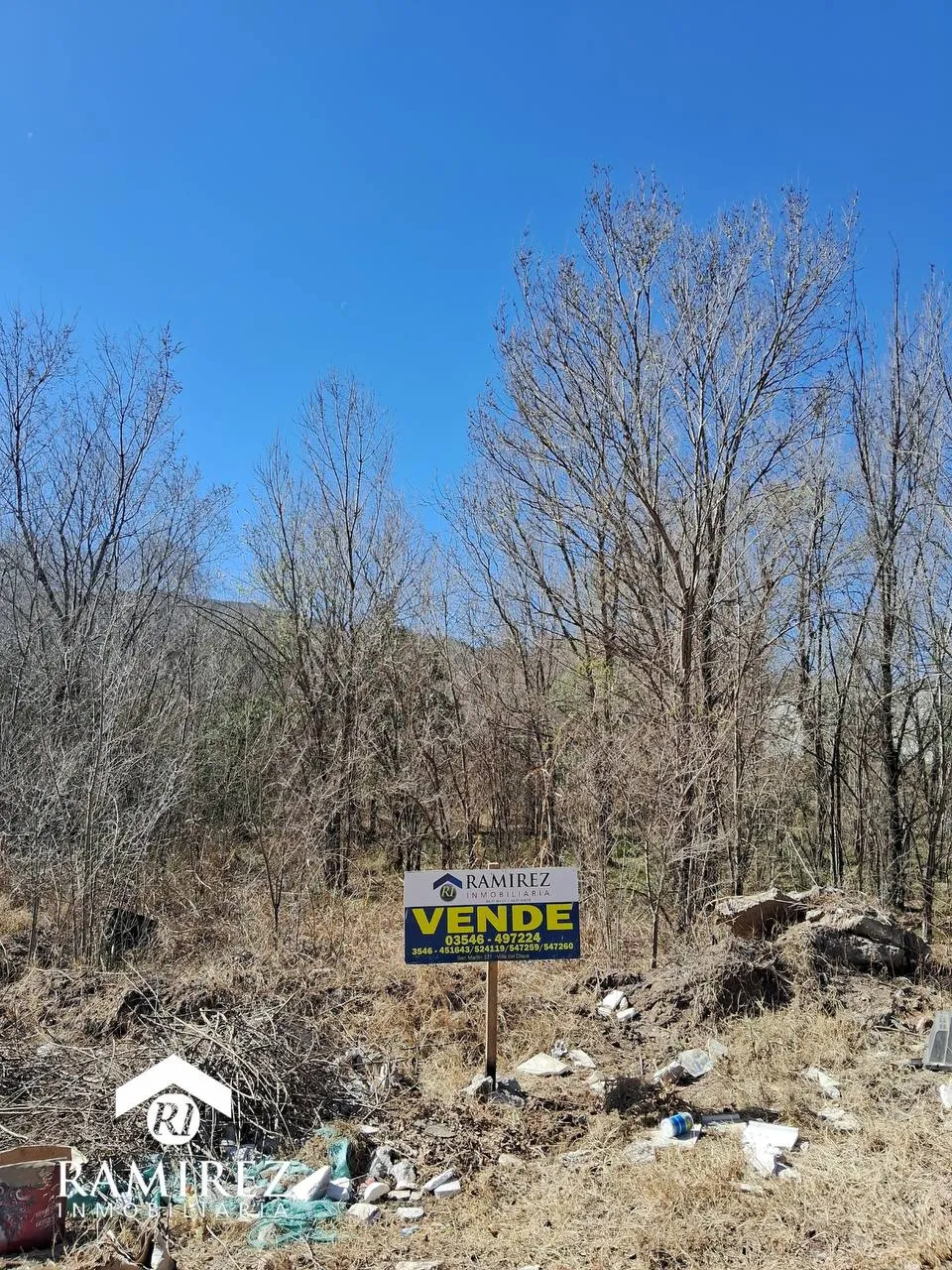 LOTE EN VENTA - B VILLA STRADA, SANTA ROSA DE CALAMUCHITA - CORDOBA (LT12)
