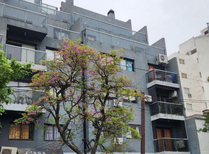 Departamento · 45m² · 2 Ambientes