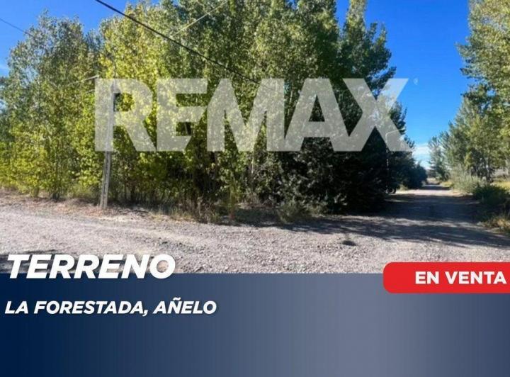 Terreno · 735m²