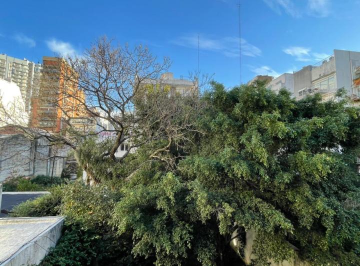 Departamento · 36m² · 1 Ambiente