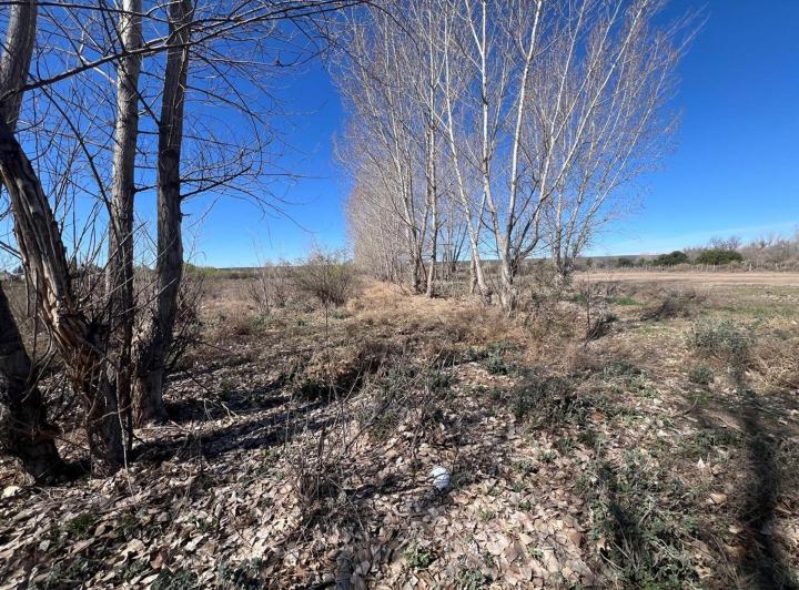 Terreno · 54000m²