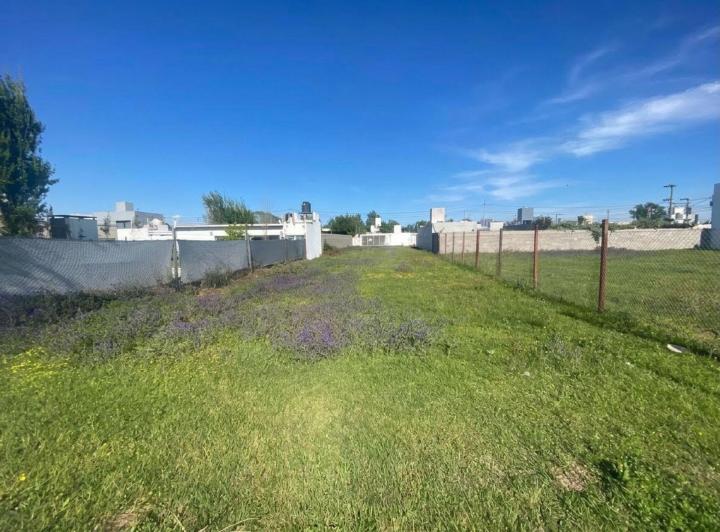Terreno · 320m²