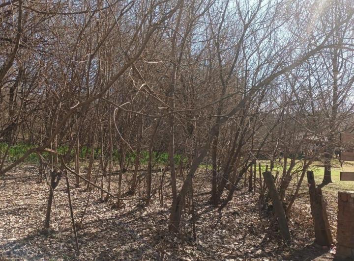 Terreno · 1500m²