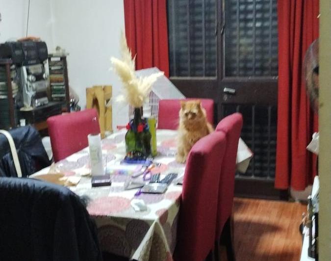 Departamento · 58m² · 3 Ambientes · 1 Cochera