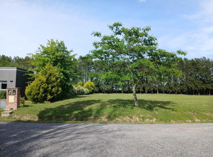 Terreno · 1045m²