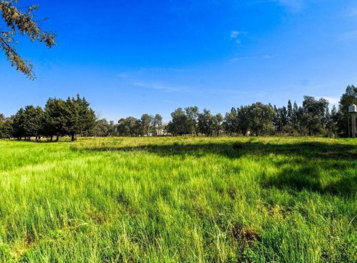 Terreno · 1400m²