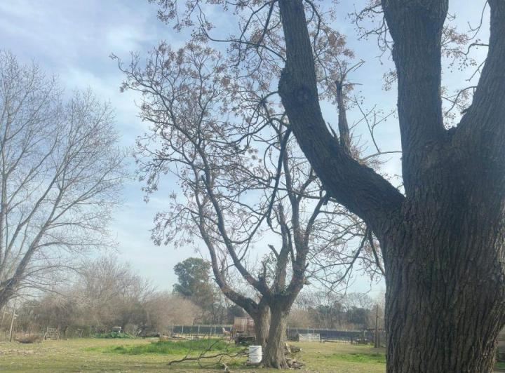 Terreno · 420m²