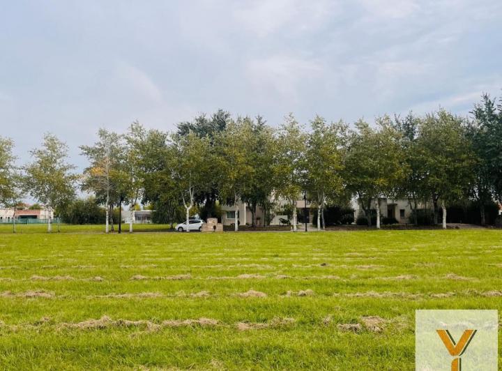 Terreno · 1002m²