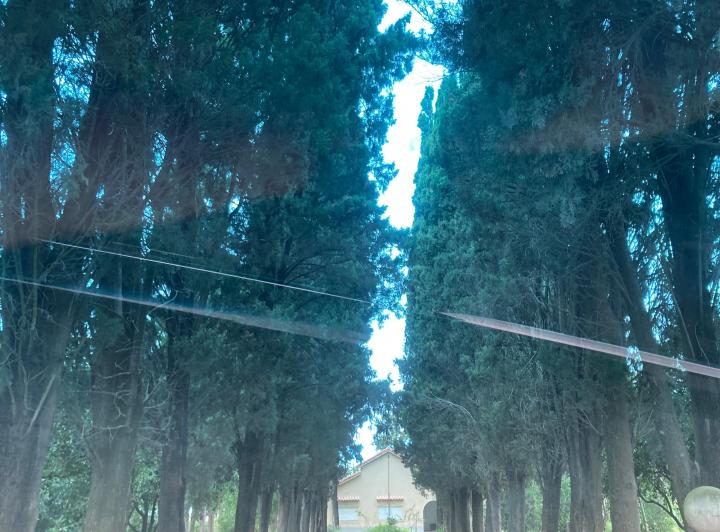 Terreno · 150ha · 5 Ambientes · 1 Cochera
