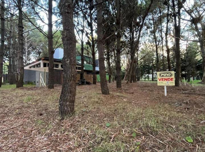 Terreno · 550m²