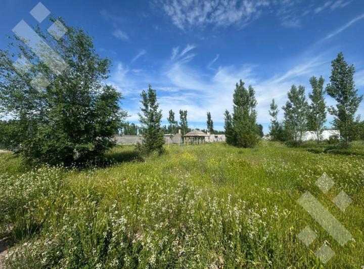 Terreno · 1000m²