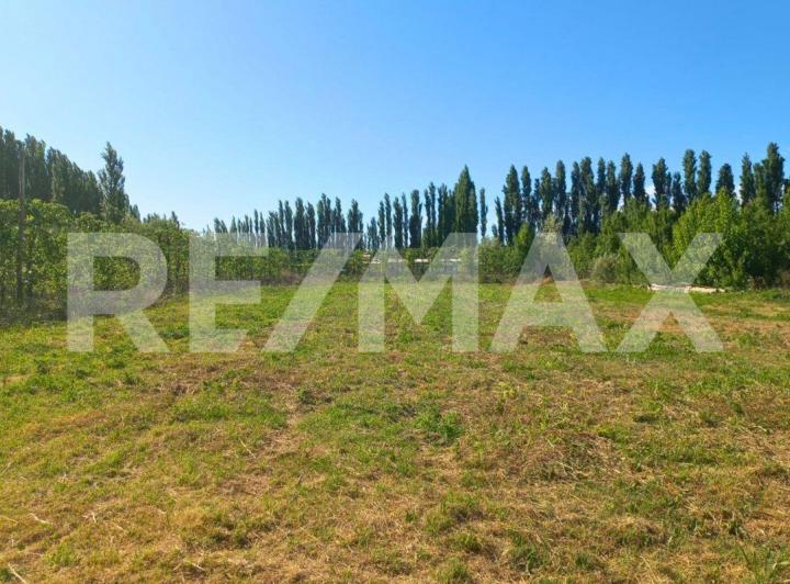 Terreno · 5000m²