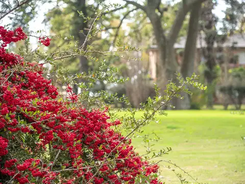 Terreno en Venta en Ibarlucea, Rosario