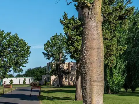 Terreno en Venta en Ibarlucea, Rosario