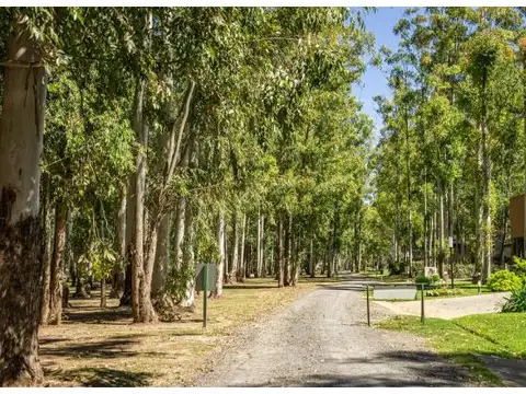 Terreno en Venta en Puerto Paraíso, Countries y Barrios Cerrados en General Lagos