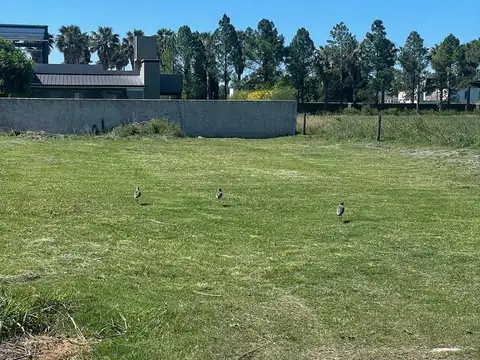 Terreno en Venta en Funes, Rosario
