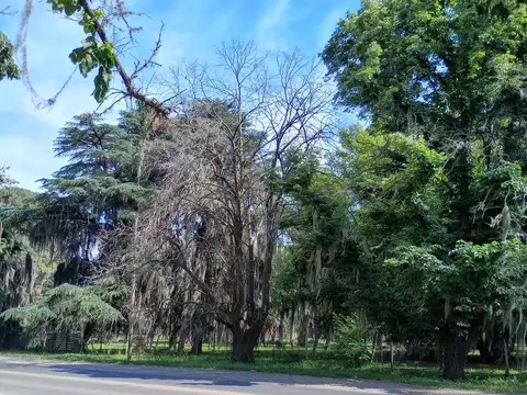 Terreno en Venta en Funes, Rosario