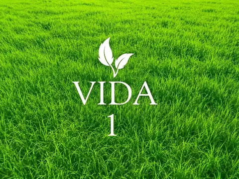 Terreno en Venta en Vida, Funes