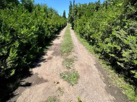 Terreno en Venta en Perez, Rosario